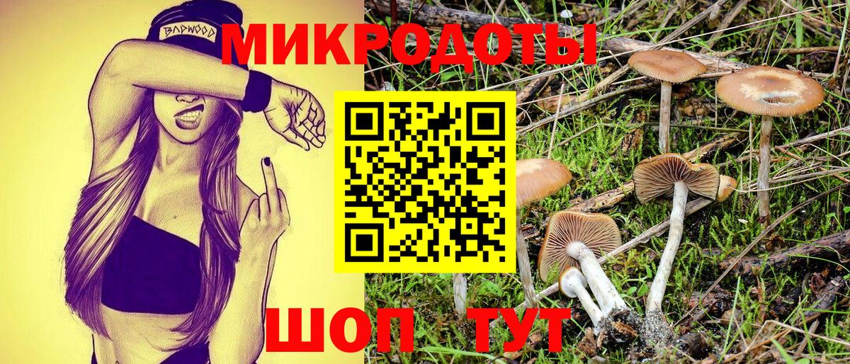 Великий Устюг  хочу наркоту  Вход с VPN  Псилоцибиновые грибы ЛСД 