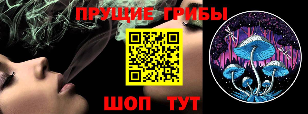 Галлюциногенные грибы мицелий Великий Устюг